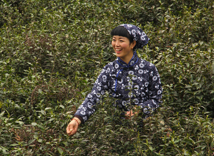 百丽网站 热门1